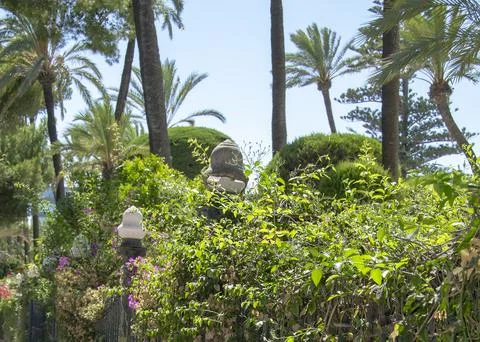 Tree lined avenue beside Parque Genoves, Cadiz, Spain Stock Photos