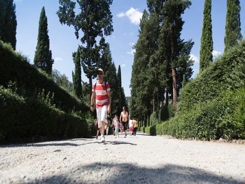 Tree lined avenue in Boboli Garden Museum Stock Footage 74924337
