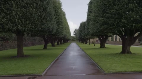 Tree-lined avenue inside the World War II cemetery. Video 4K Stock Footage 259476995