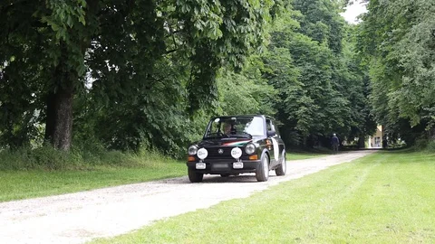 Tree-lined avenue with old black car Stock Footage 89762846
