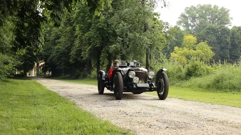 Tree-lined avenue with old dark car Stock Footage 89765505