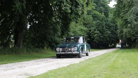 Tree-lined avenue with old green car Stock Footage 89786325
