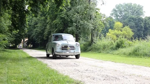 Tree-lined avenue with old red car Stock Footage 89786216