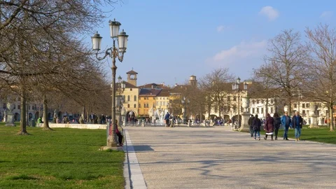 Tree-lined avenue in Prato della Valle in Padua Stock Footage 87501965