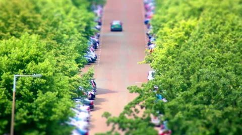 Tree lined avenue. Tilt Shift Timelapse. 스톡 동영상 56026404