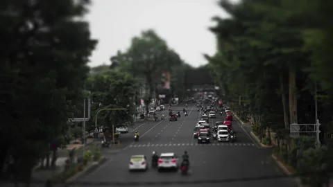 Tree lined avenue with vehicles from elevated view Stock-Footage 345860586