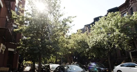 Tree lined block in Brooklyn, NYC - 4k - establishing shot - summer 2016 Stock Footage 70704029