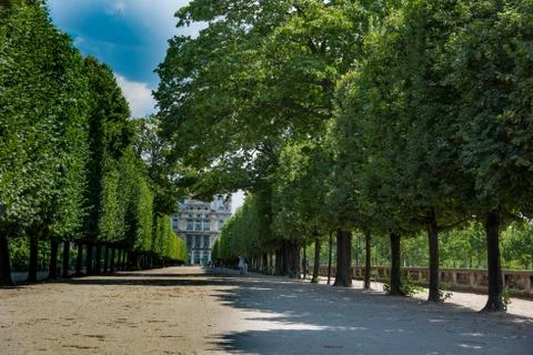 Tree-lined boulevard in jardin de tuileries in Paris Stockfoto's