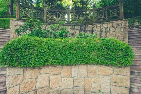 Tree-lined brick path through the forest at Fort Canning Park, one of Singapo Stock Photos
