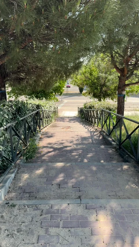 Tree-Lined Brick Pathway With Metal Railing in Urban Park Vídeo Stock 336733744