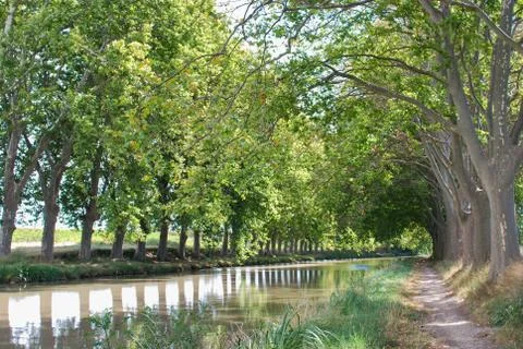 The tree lined Canal du Midi near Castelnaudary, Aude, Languedoc-Rousillon, F Stock Photos