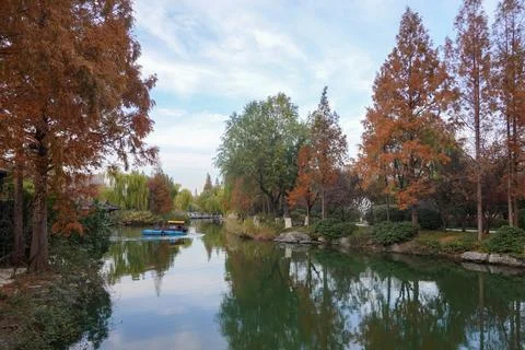 Tree lined canal mirrored in still morning water Stock Photos