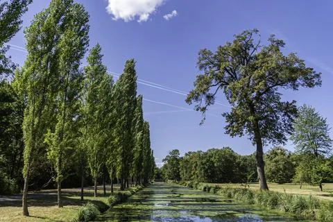 Tree-lined canal under a bright blue sky Stock Photos