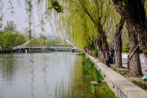 Tree lined canal with white pedestrian bridge in Beijing Stock Photos