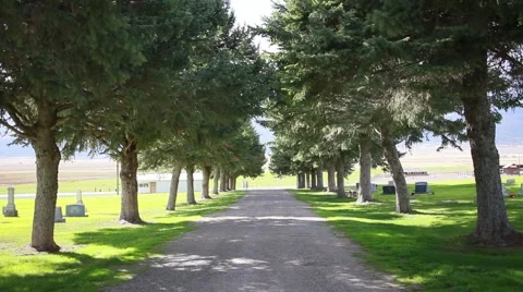 Tree lined cemetery road HD  Stock Footage 68169735