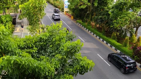 Tree-Lined City Road with Vehicles and Pathway in Vibrant Greenery Stock Footage 302460966