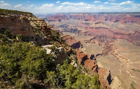 Tree Lined Cliff and View at Grand Canyon National Park Stock Photos