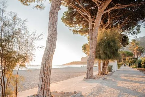 Tree-lined coastal pathway at sunset in Sicily Stock Photos
