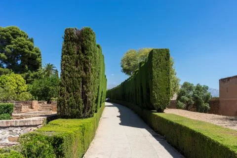 Tree lined curved pathway in beautiful gardens of the ancient Alhambra Palace Stock Photos