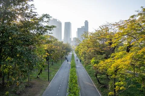 Tree lined cycling path leading to skyline in Bangkok Stock Photos