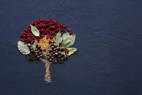A tree lined with different spices is located on a dark surface. Culinary art. Stock Photos