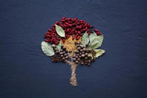 A tree lined with different spices is located on a dark surface. Culinary art. Stock Photos