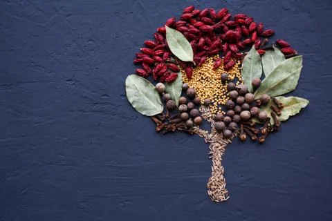A tree lined with different spices is located on a dark surface. Culinary art. Stock Photos