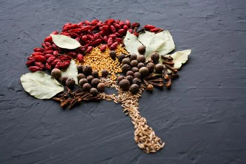 A tree lined with different spices is located on a dark surface. Culinary art. Stock Photos