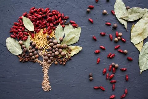 A tree lined with different spices is located on a dark surface. Culinary art. Stock Photos