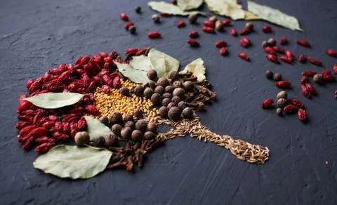 A tree lined with different spices is located on a dark surface. Culinary art. Stock Photos