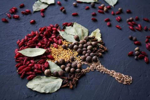 A tree lined with different spices is located on a dark surface. Culinary art. Stock Photos