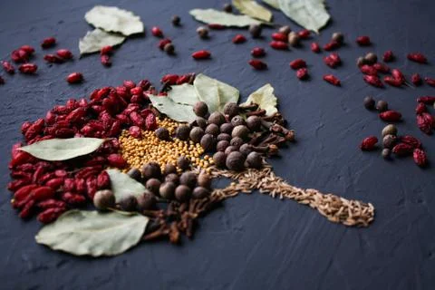 A tree lined with different spices is located on a dark surface. Culinary art. Stock Photos