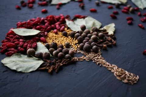 A tree lined with different spices is located on a dark surface. Culinary art. Stock Photos