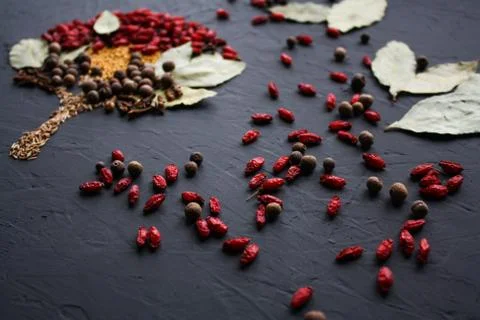 A tree lined with different spices is located on a dark surface. Culinary art. Stock Photos
