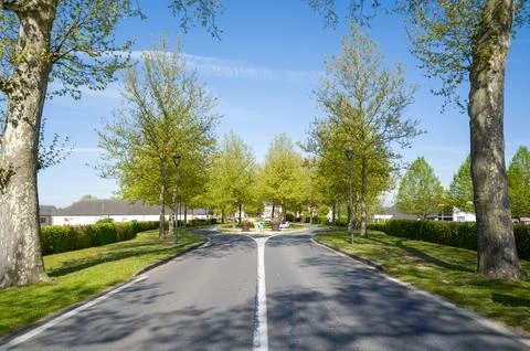 Tree-lined entrance road with split lanes in Dampierre en Burly, France. Stock Photos
