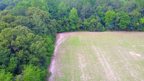 Tree Lined Field Stock Footage 77705628