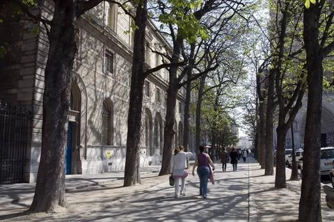 Tree lined on footpath, street scene, old French architecture, Paris, Fran... Stock-Fotos