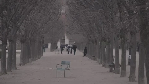 Tree Lined Garden Avenue in Winter Stock Footage 340546678
