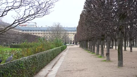 Tree-Lined Garden Path at the Empty Palais Royal, Paris, Surrounded by Greenery Stock Footage 304679842