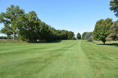 Tree lined golf course fairway Stock Photos