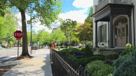 Tree-Lined Intersection at S Street NW in Washington, D.C. Stock Footage 323941698
