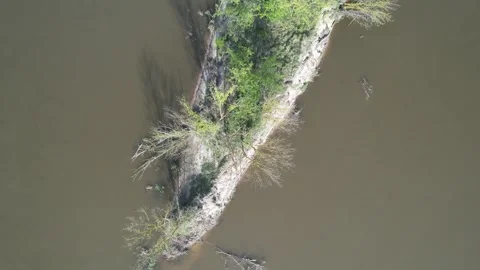 Tree-lined island on the unregulated Vistula River in Poland - aerial drone Stock Footage 271298697