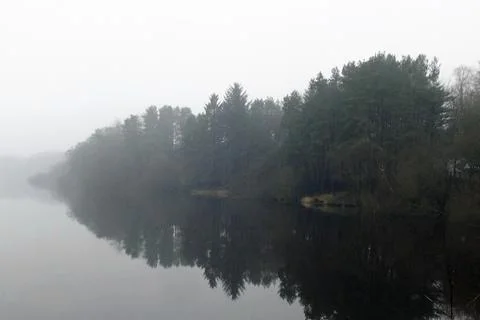 Tree Lined Lake in a Mist Stock Photos