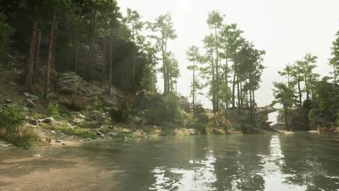 Tree-Lined Lake Shore With Boulders Stock Illustration