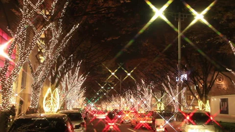 The Tree-Lined Omotesando Illuminated by Christmas Lights and the Congested Road Stock Footage 324933059