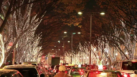 The Tree-Lined Omotesando Illuminated by Christmas Lights and the Congested Road Stock Footage 324933501