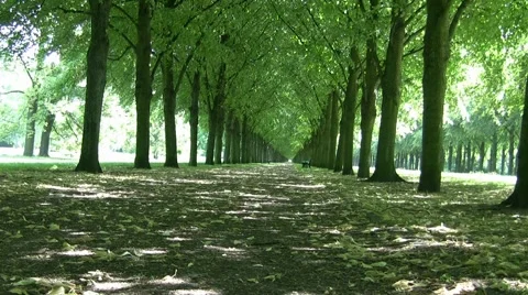 Tree Lined Park In Hannover Germany Video stock 1069217