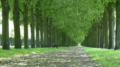 Tree Lined Park In Hannover Germany Video stock 9985796