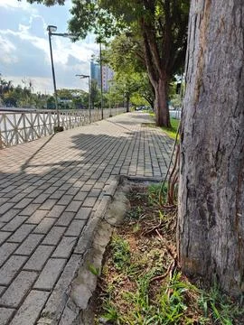 Tree-lined park path following the lake Stock Photos