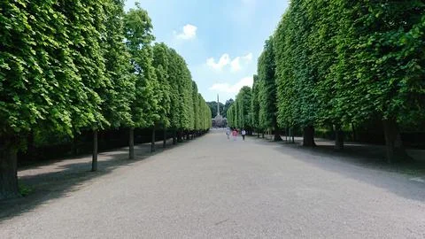 Tree-lined park path with visitors walking Stock Photos